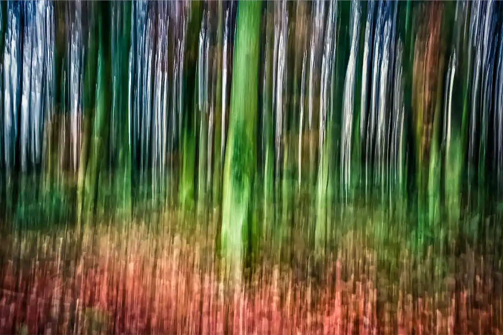 1 Marcus Westen Monokultur Wald Exhib