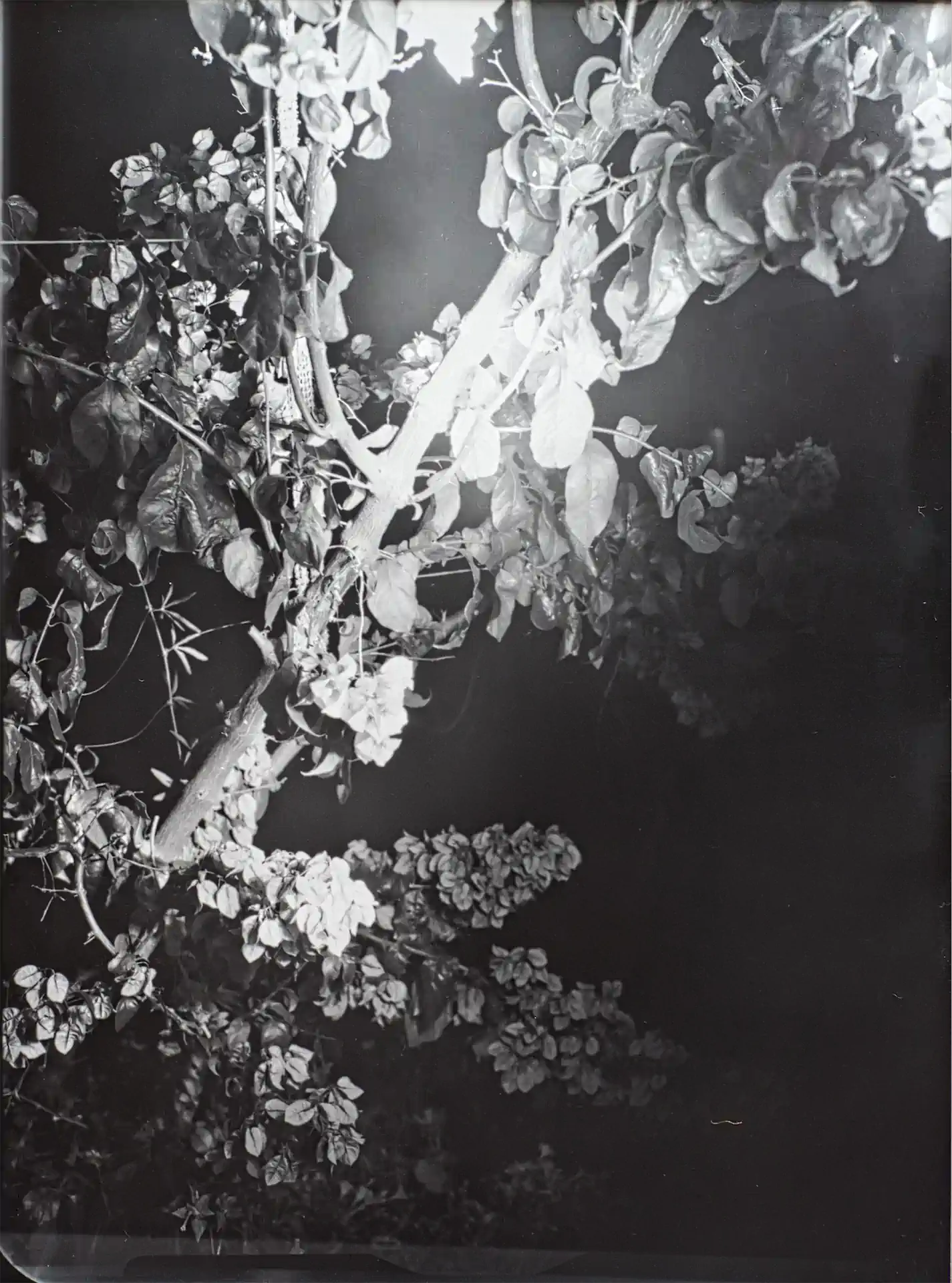 2Kälte Exhib1920