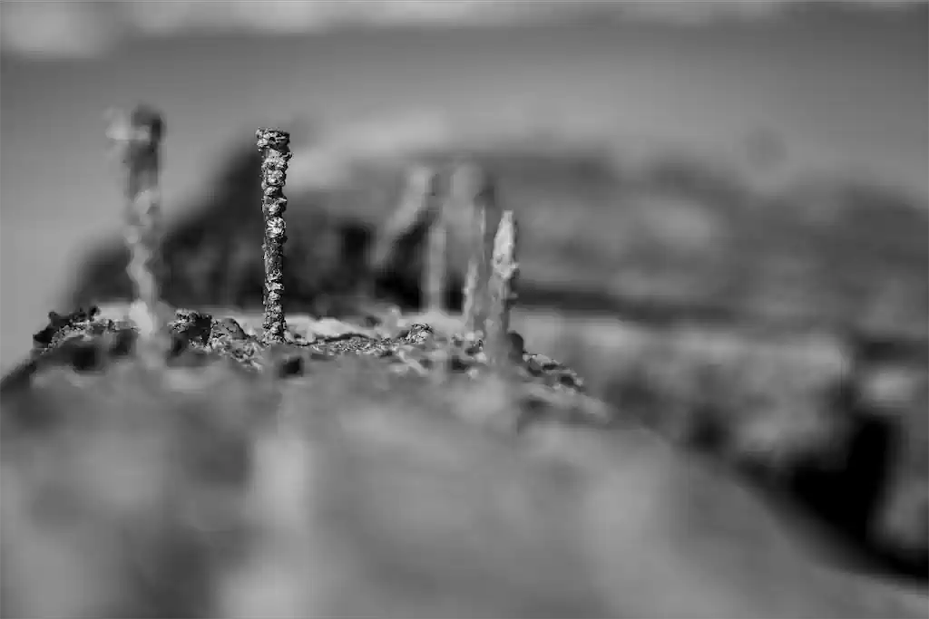 7 Inge Straub Schiffskultur Exhib