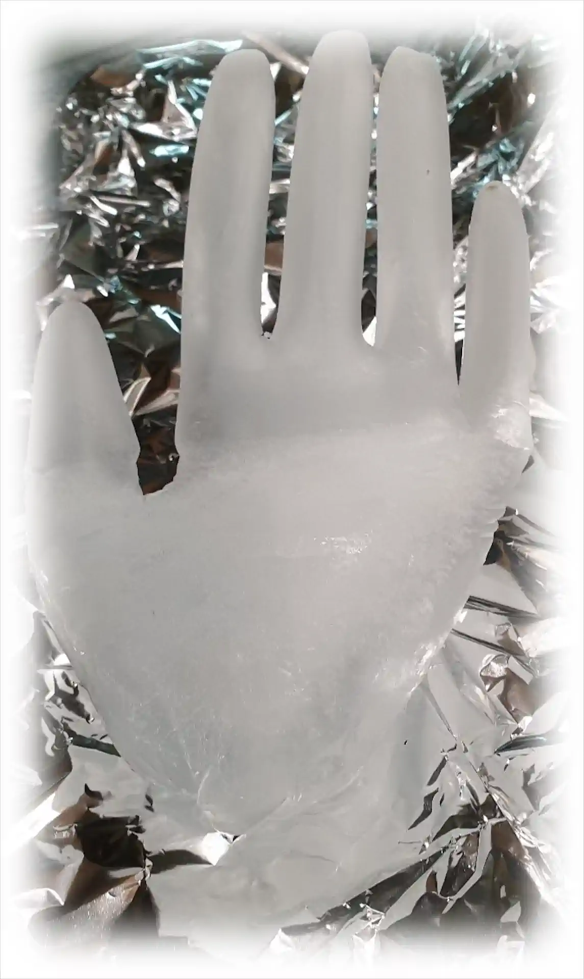 8 Manuela Reichert Hand Exhib1920