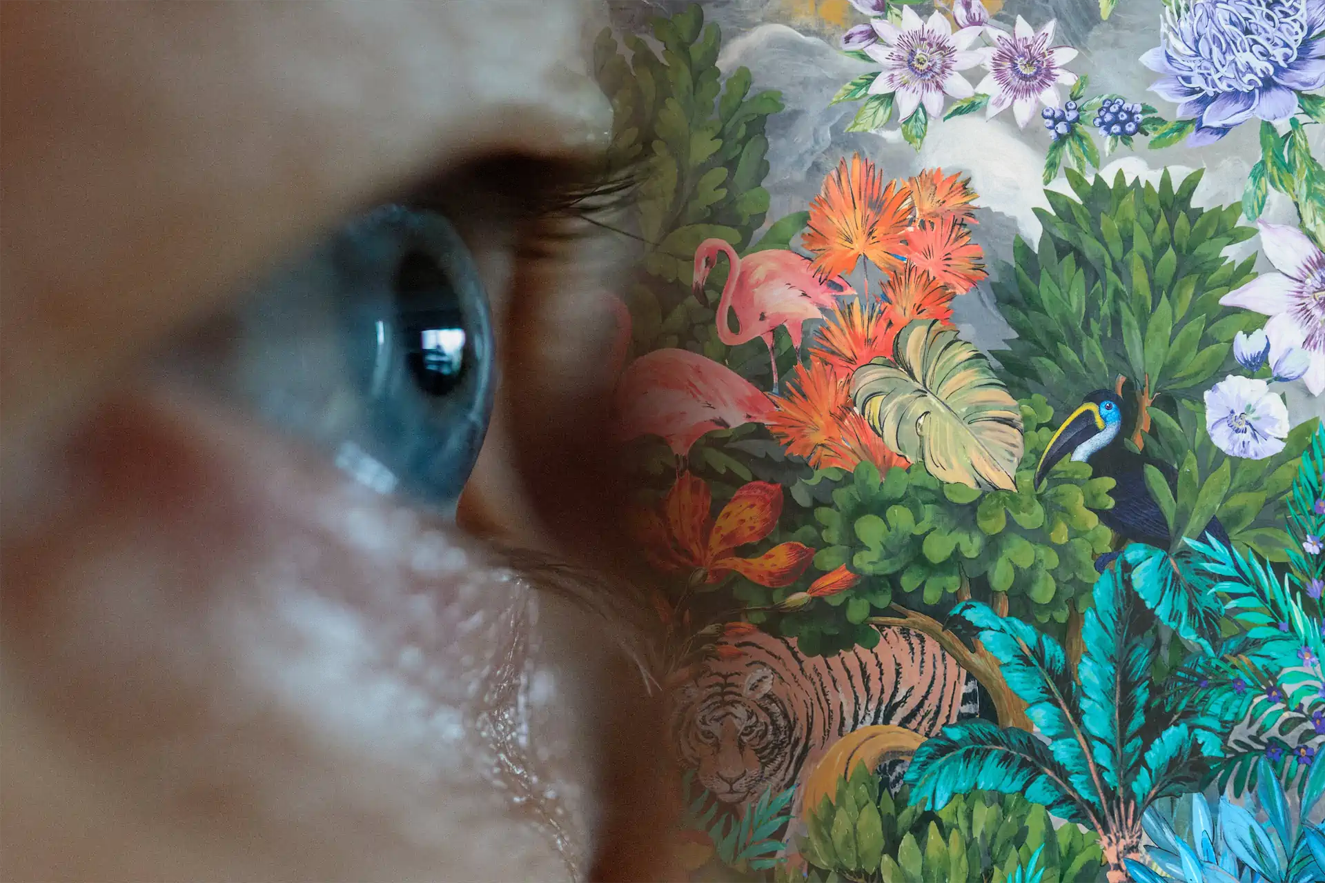 01 Anne Böhm Amazonas Exhib