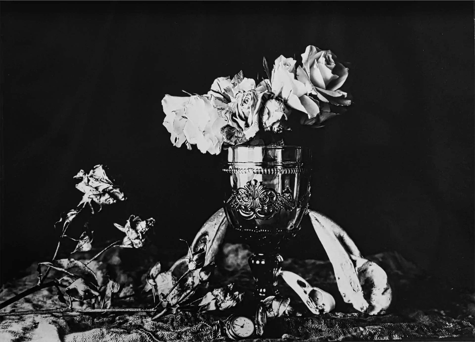 1Vanitas! Exhib