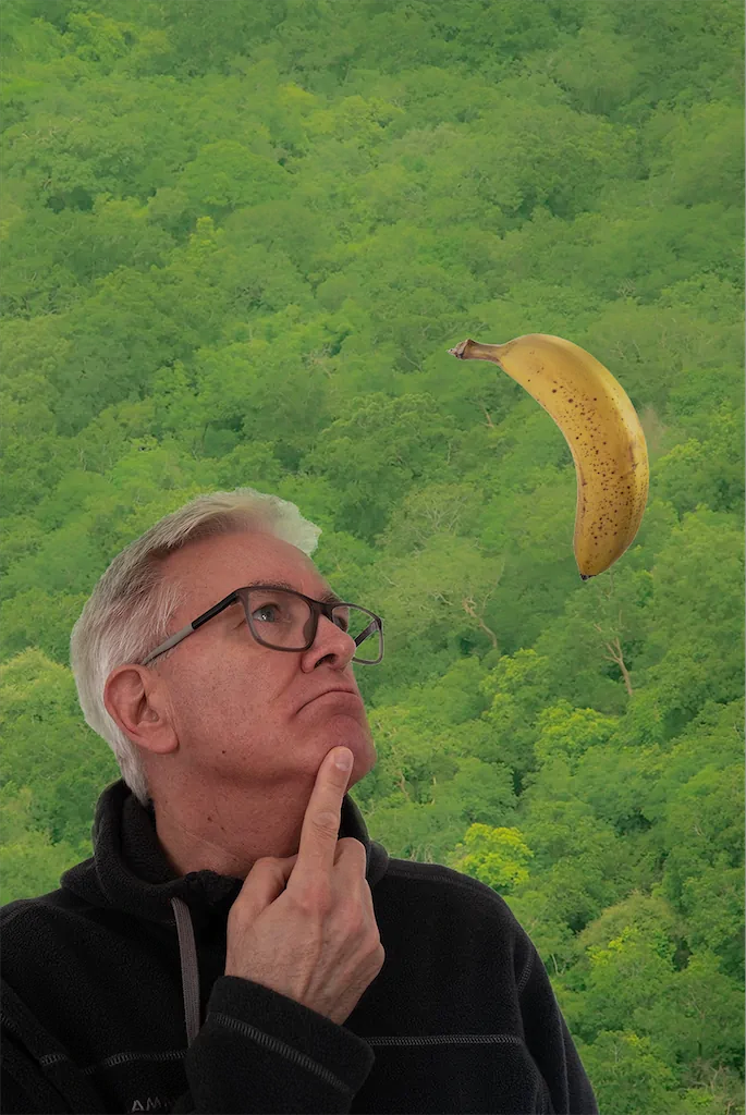1 Jörg Schneider Warum Ist Die Banane KrummLuege 1024h 80
