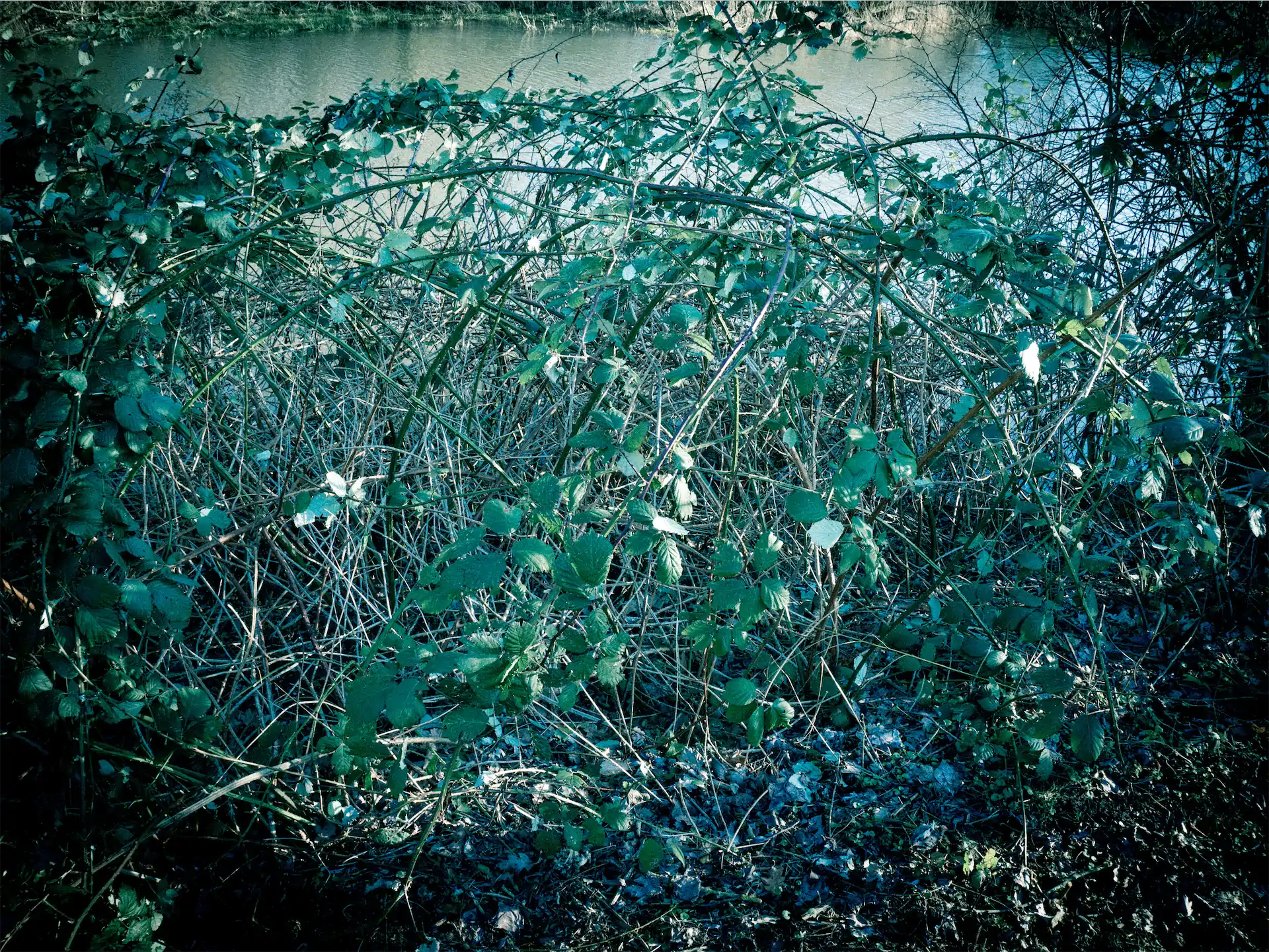 1 Sabine Haumann Exhib