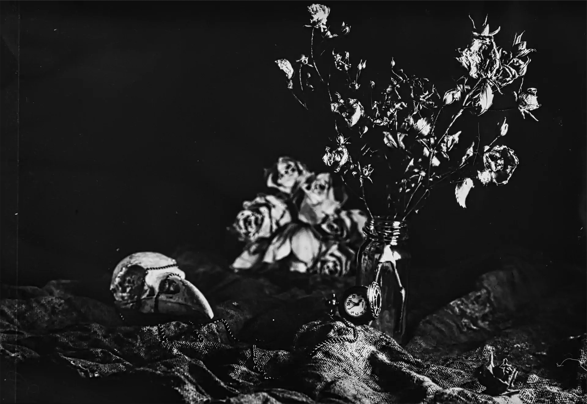 3Vanitas! Exhib