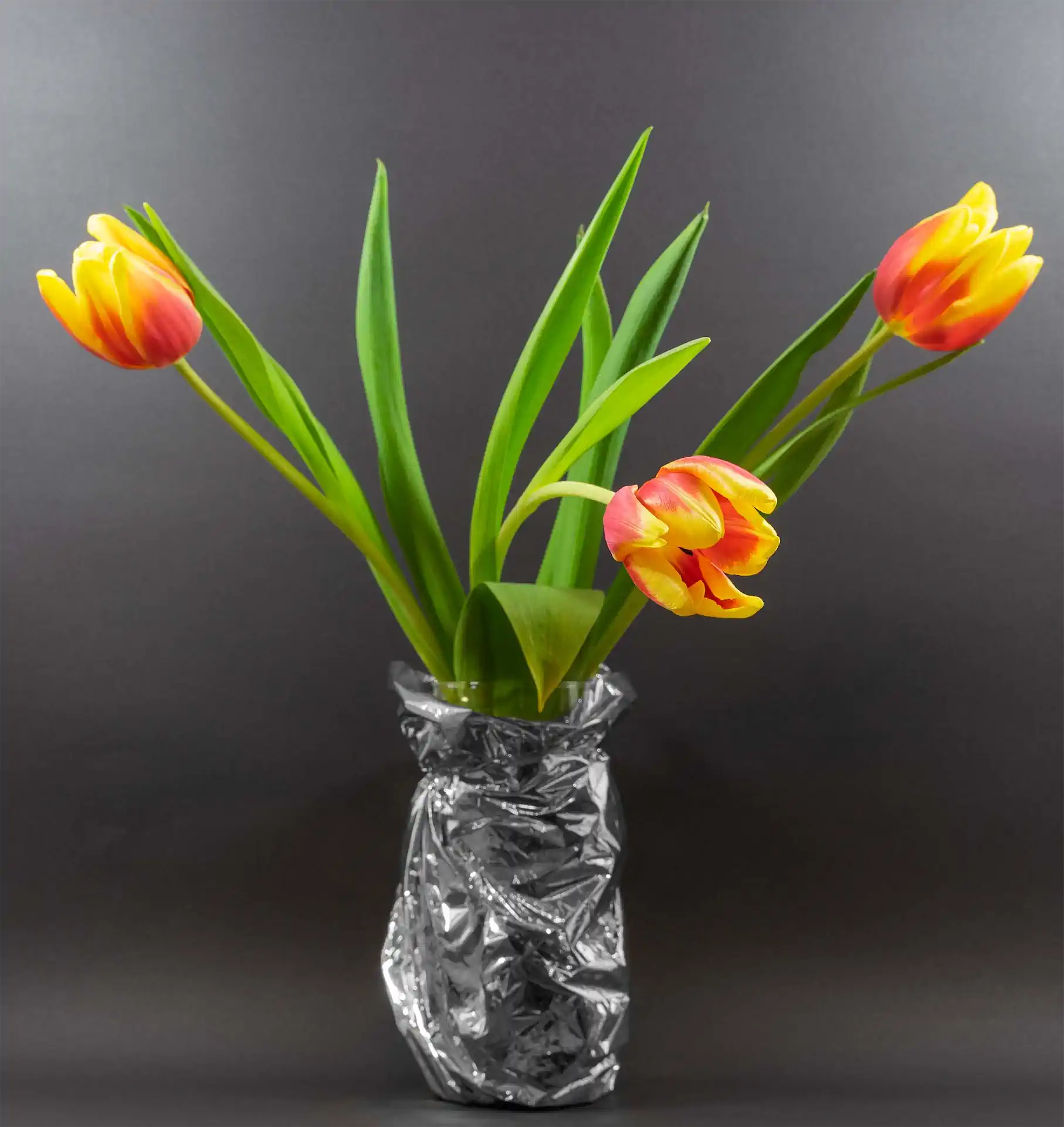 4 Karl Weis Tulpen Voll Erblüht.jpg Exhib