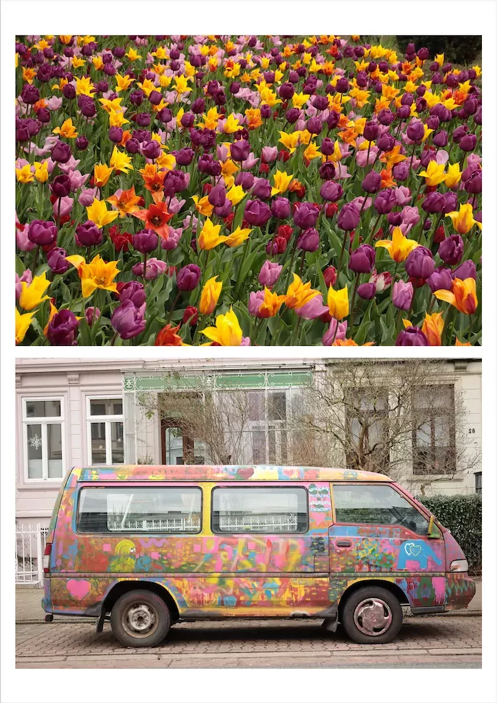 6 Helke Napierala BlumenkindLuege 1024h 80