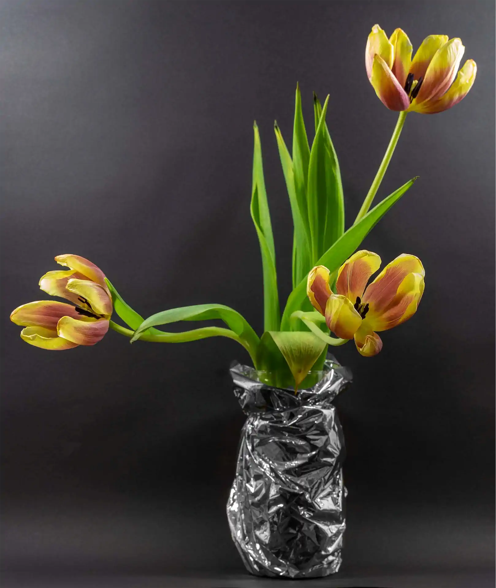 6 Karl Weis Tulpen Fast Verblüht.jpg Exhib