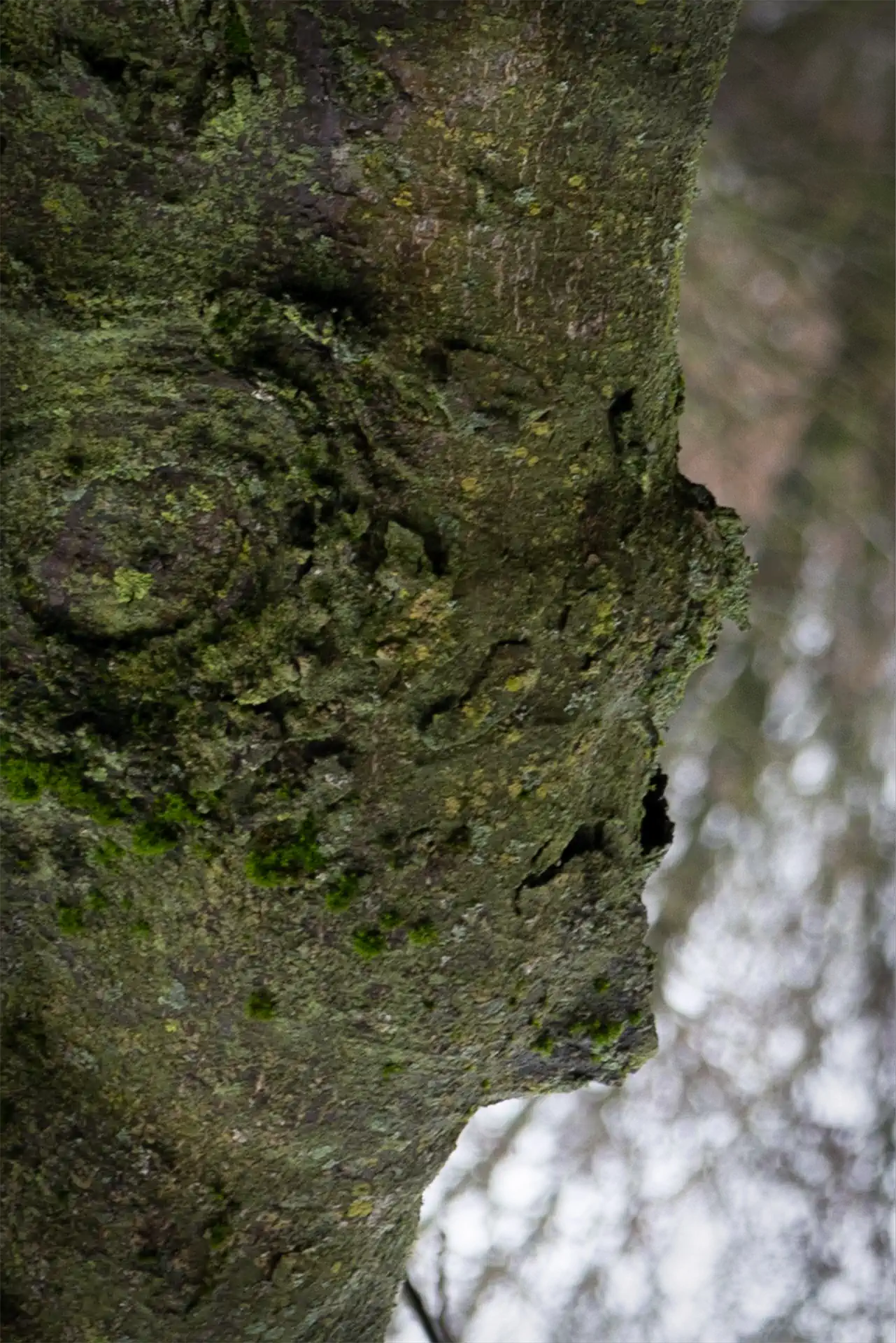 Schönheit5 (2) Exhib