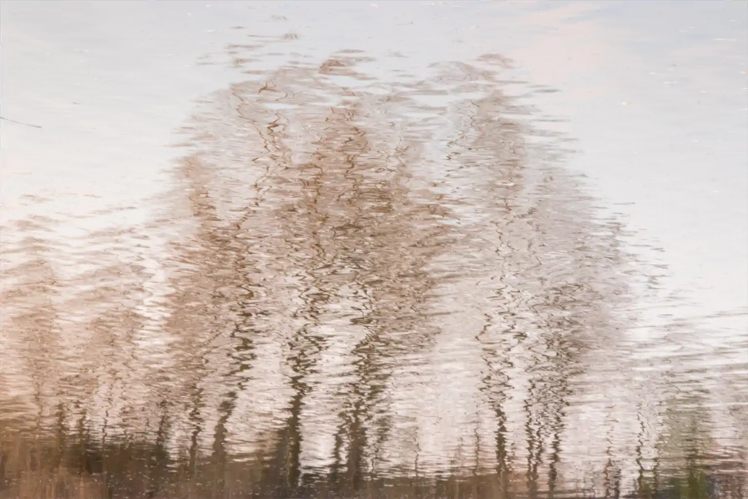 02 Vielleicht Helke Baum Vielleicht 1024h 70