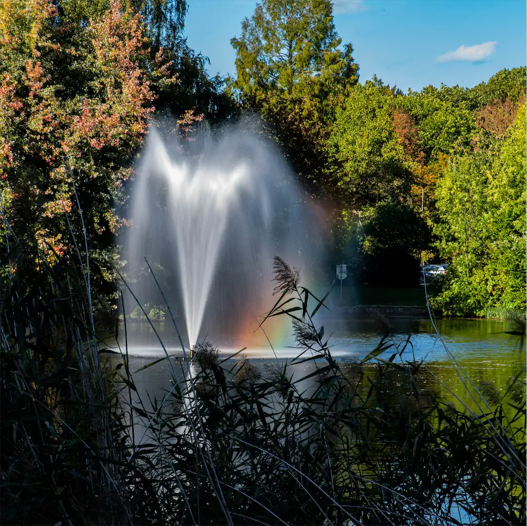 1 Thomas Schindler Regenbogen 5meter 1024h 60