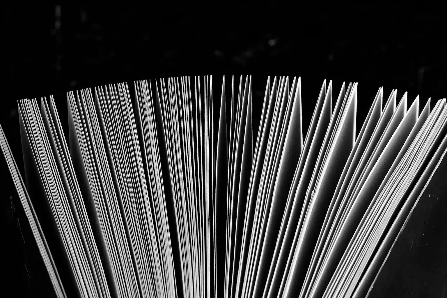 2 Lombeyda Esteban Buch Betrachten 5meter 1024h 50