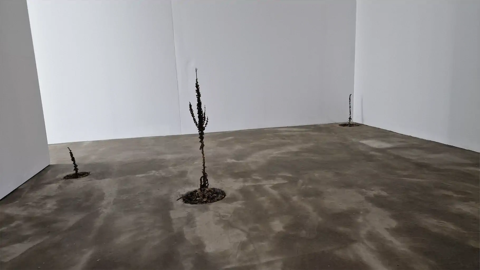 20230618 112550 Reichert Erbe 1024h 50