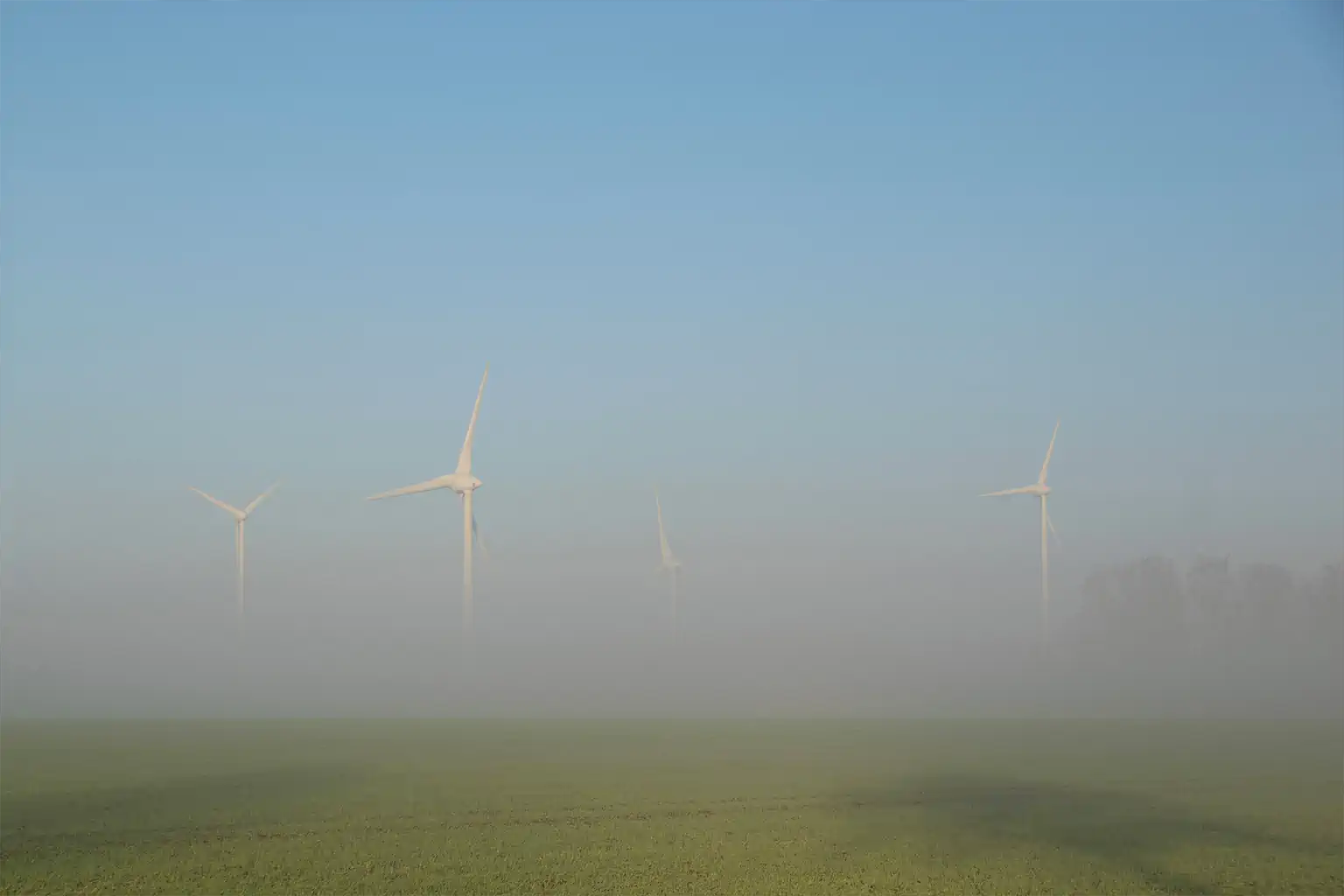 Dagmar Küsters Nebel 4 SfdS 1024h 65