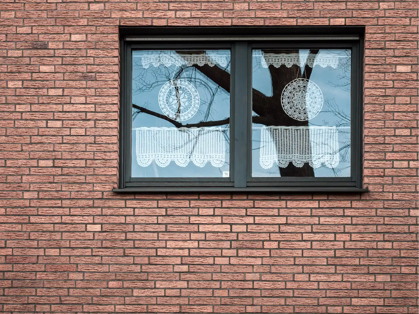 Heike Skamper Fensterblicke 2 SfdS 1024h 50