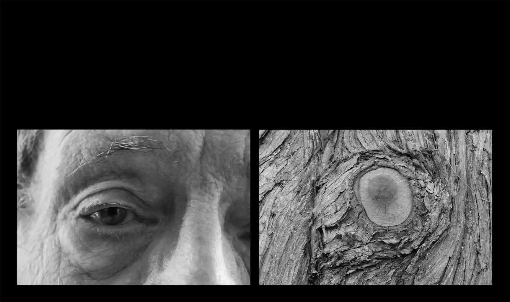 Jutta Bruch Natur Schönheiten 2 Parallelen 1024h 60
