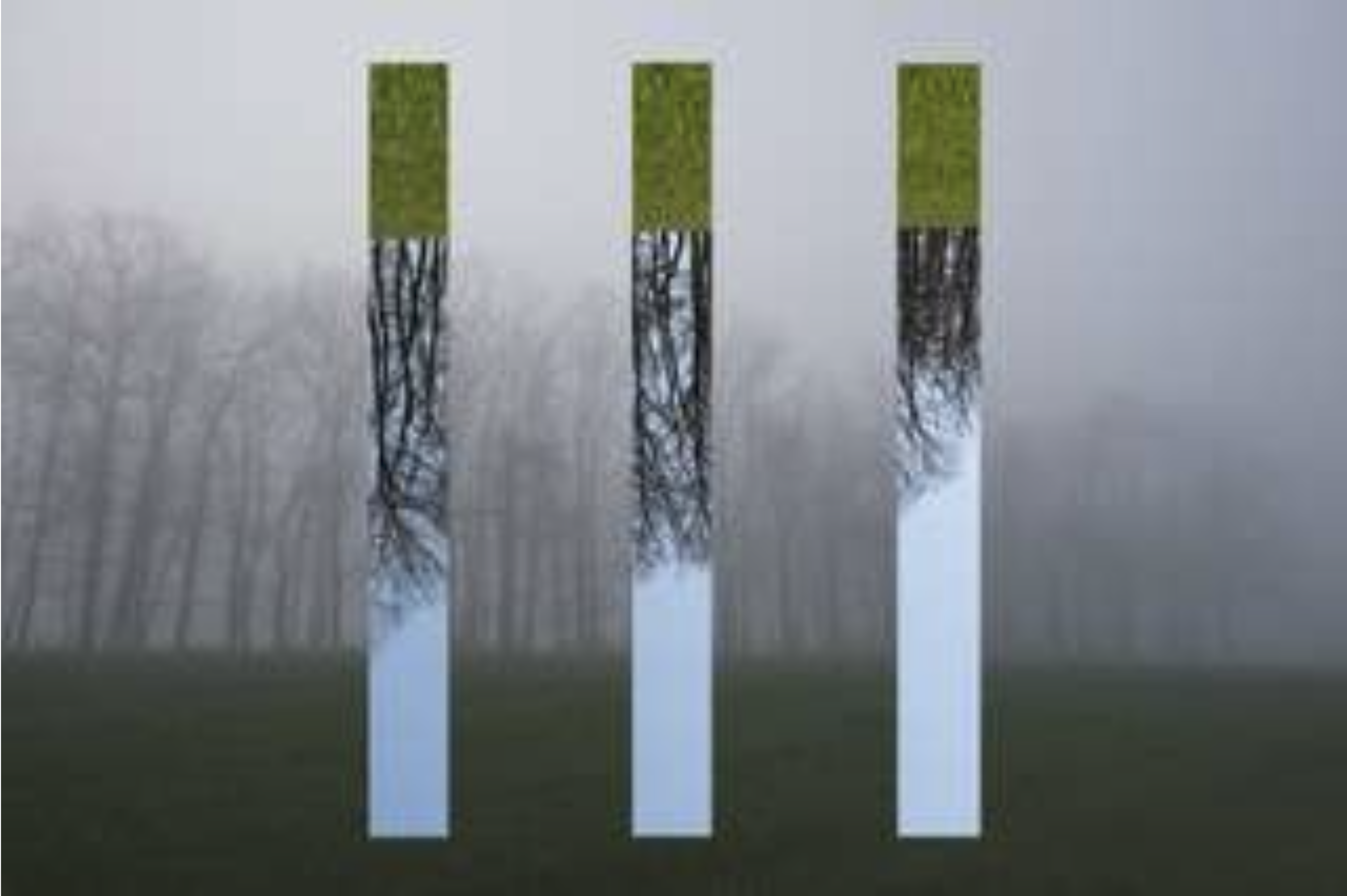 2 Frühjahr Nebel