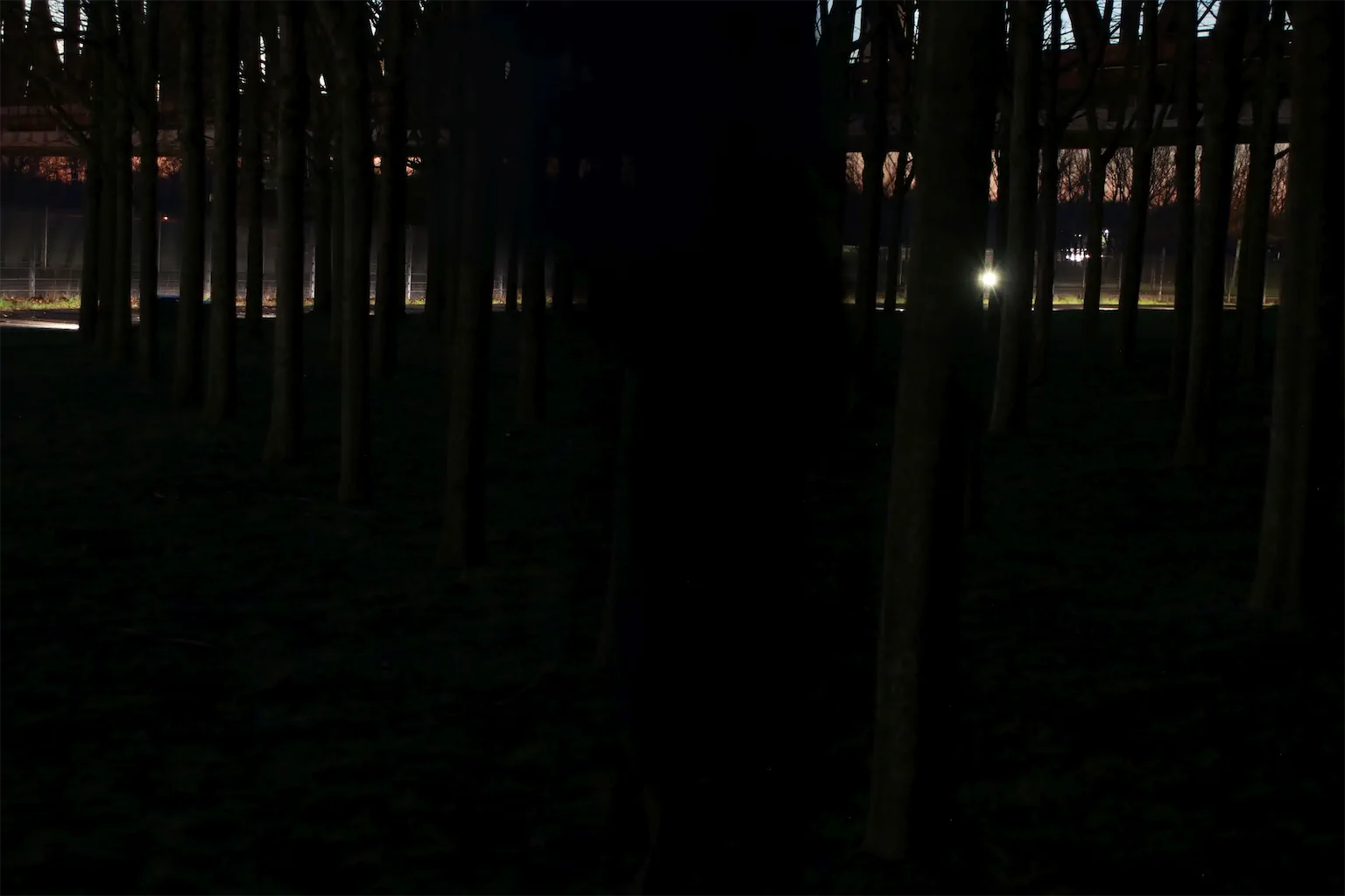 2 Anja Schmidt Dunkle Schatten Ungeheuer 1024h 80