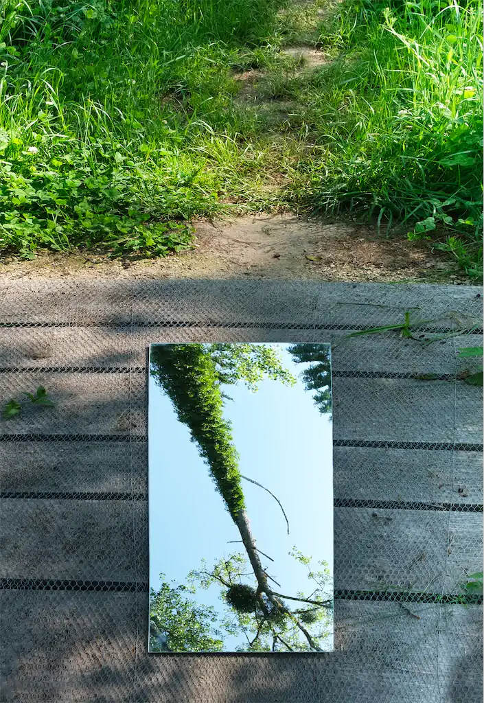 2 Romy Boentges Trauffler Mensch In Der Natur Nichtssagen 1024h 50