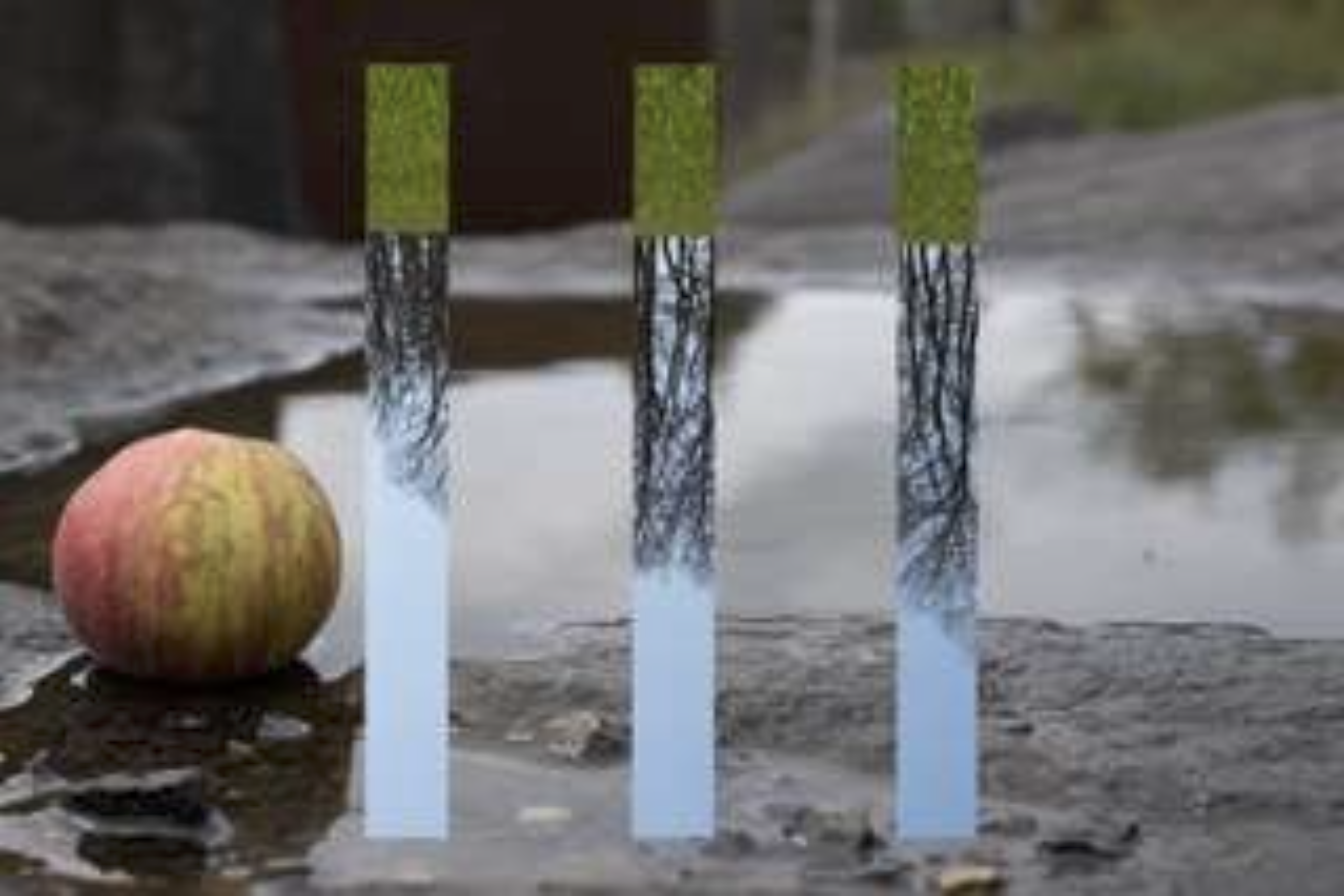 5 Herbst Frühjahr
