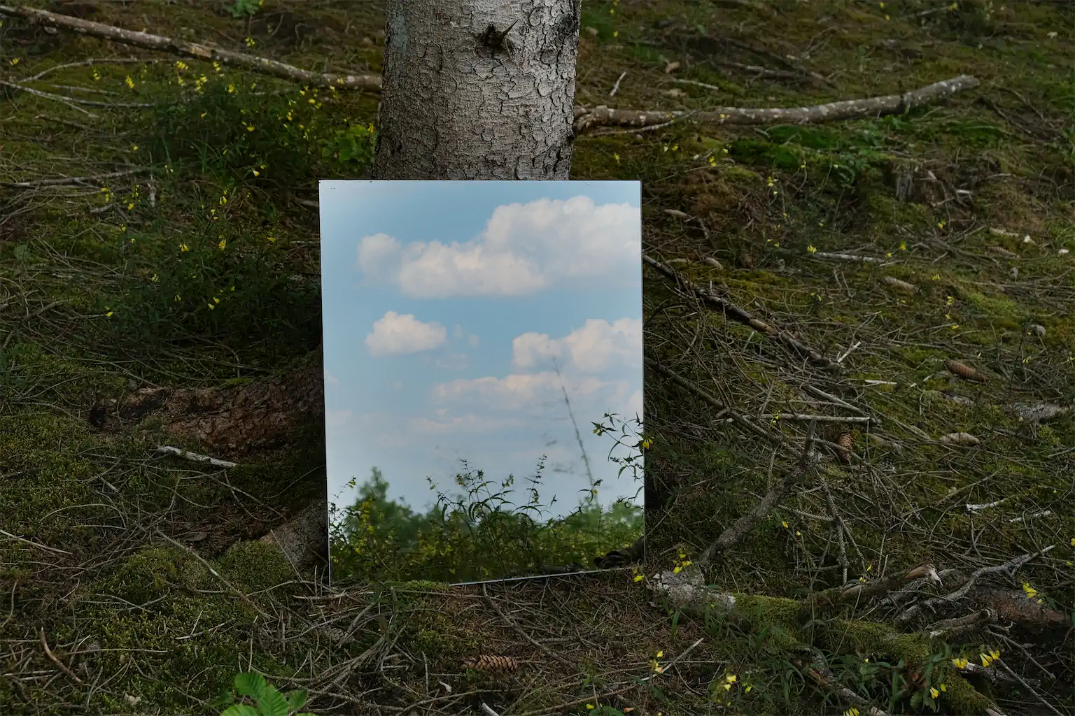 5 Romy Boentges Trauffler Mensch In Der Natur Nichtssagen 1024h 50