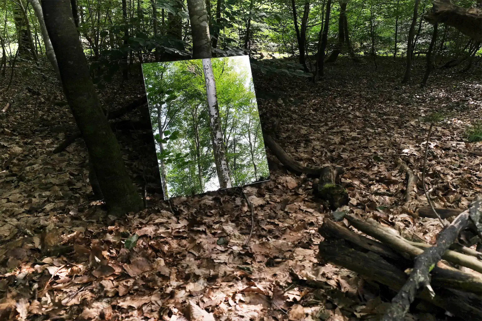 9 Romy Boentges Trauffler Mensch In Der Natur Nichtssagen 1024h 50