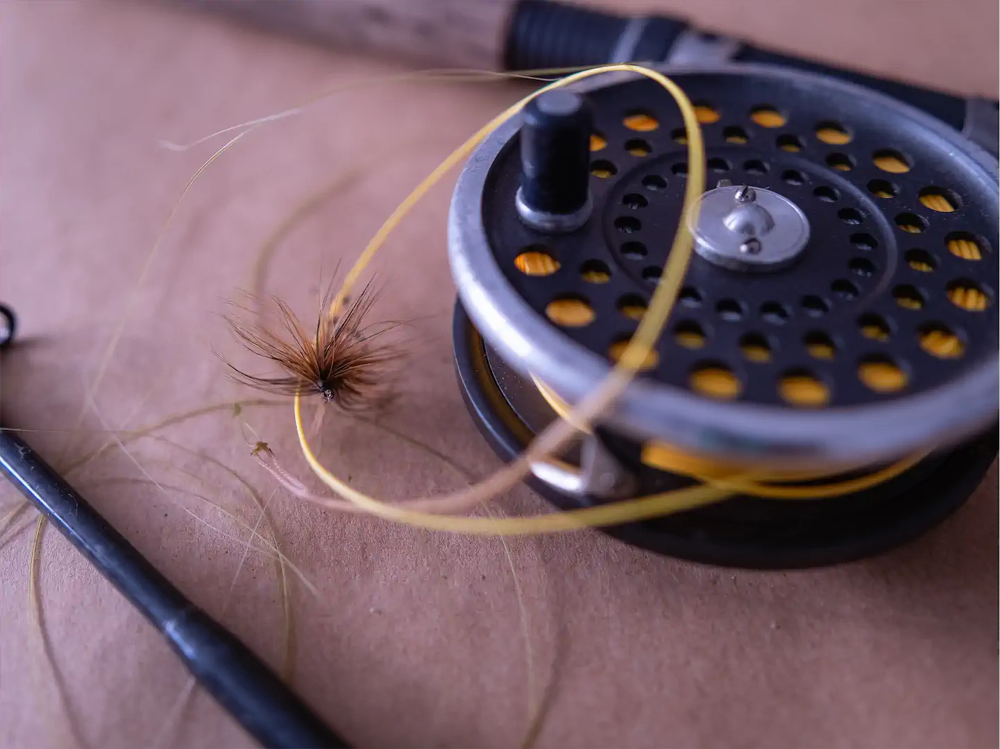 Bild 4 Rolle, Schwimmschnur Und Vorfach Mit Selbstgebundener Fliege Raab Wiedergefunden 1080h 60