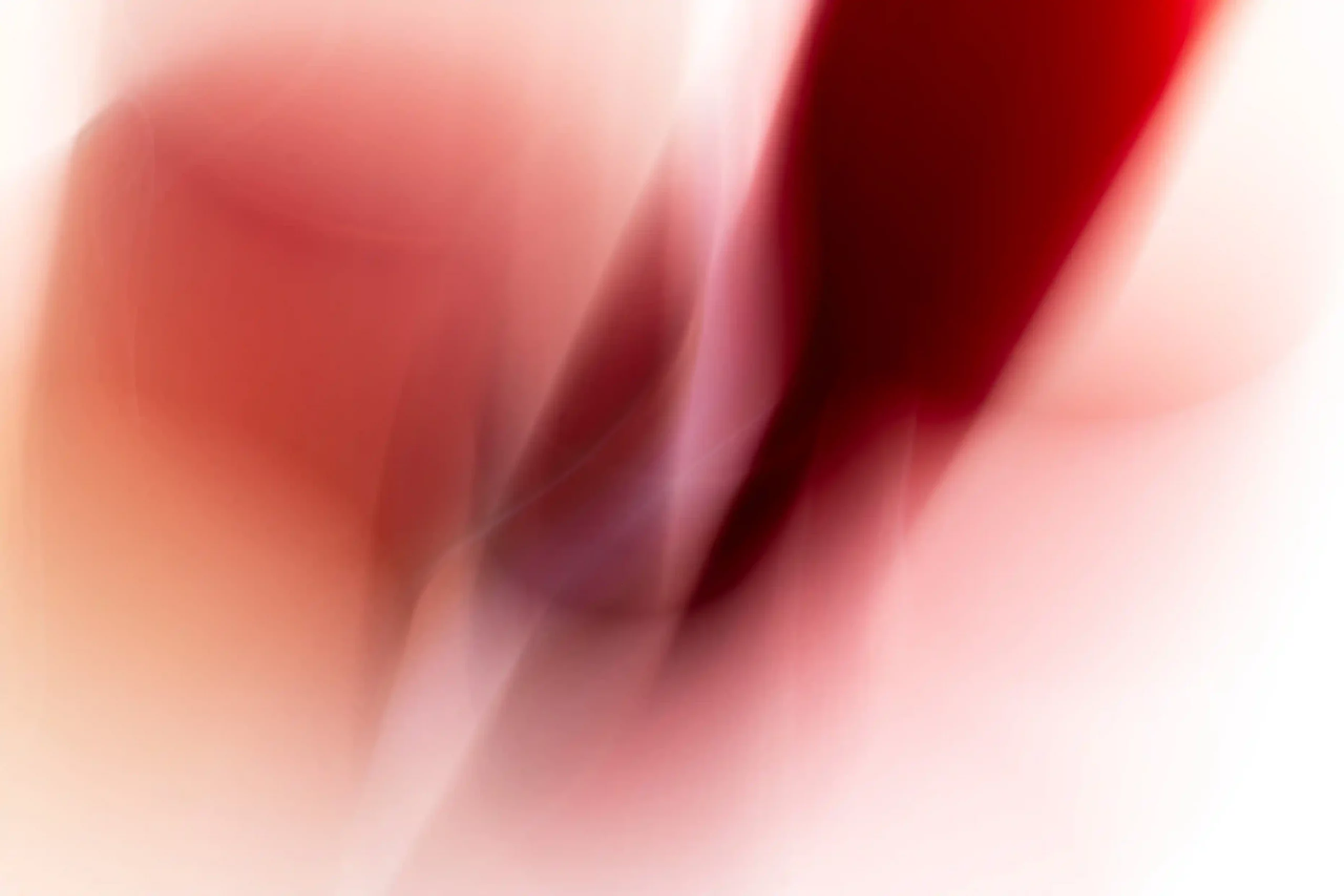 1 Dagmar Kuesters Rot
