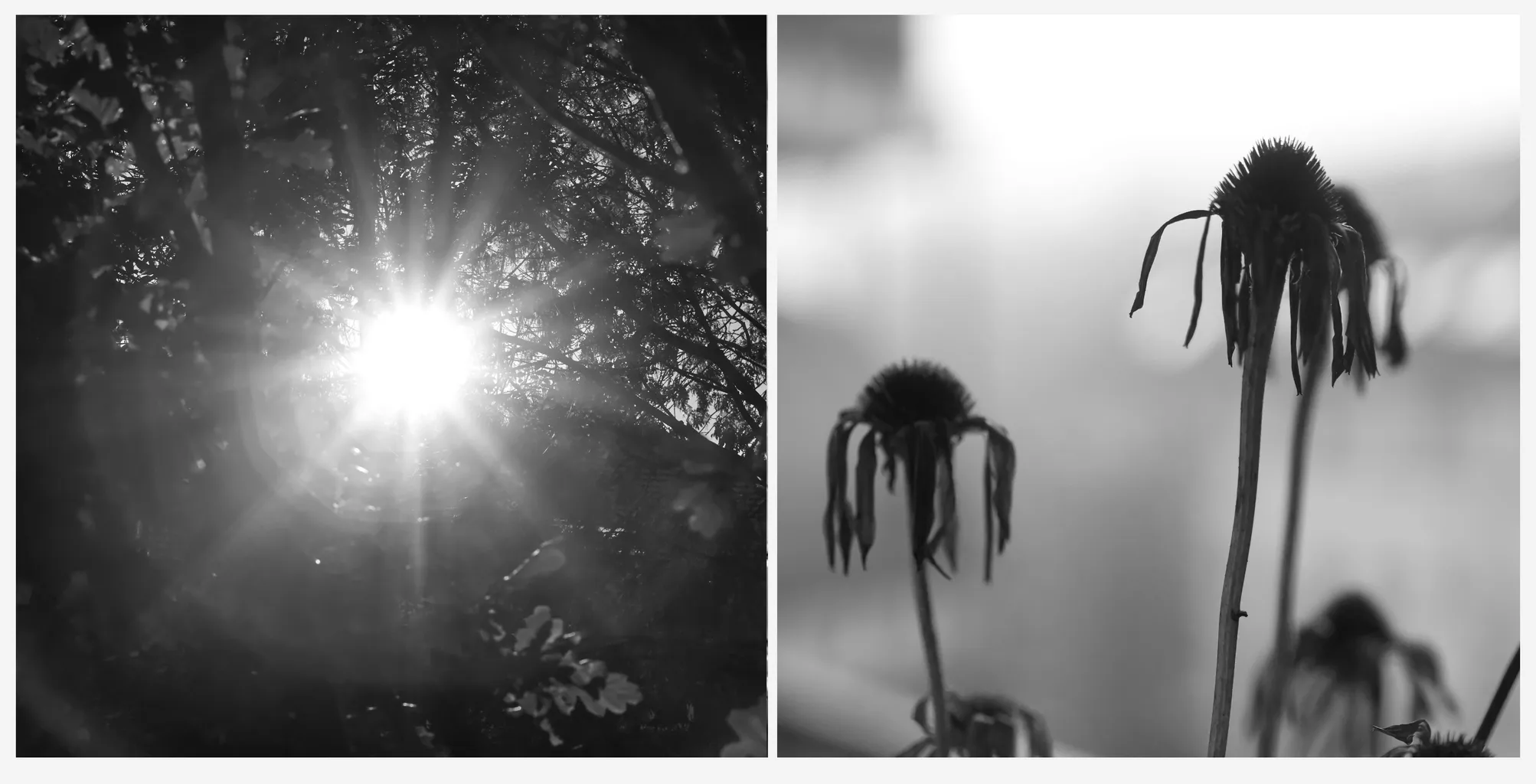  2 Licht Und Schatten