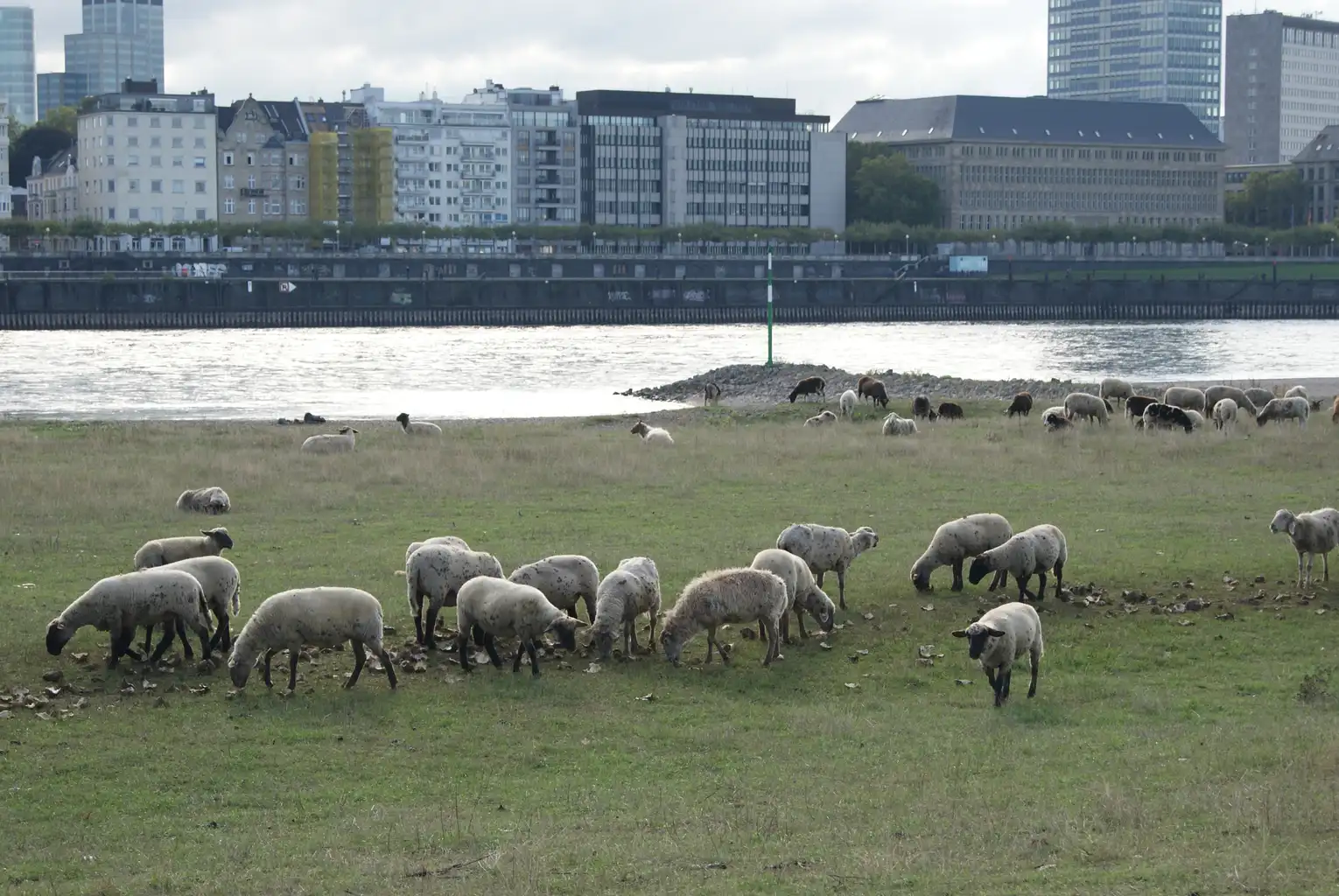 2.DSC02086