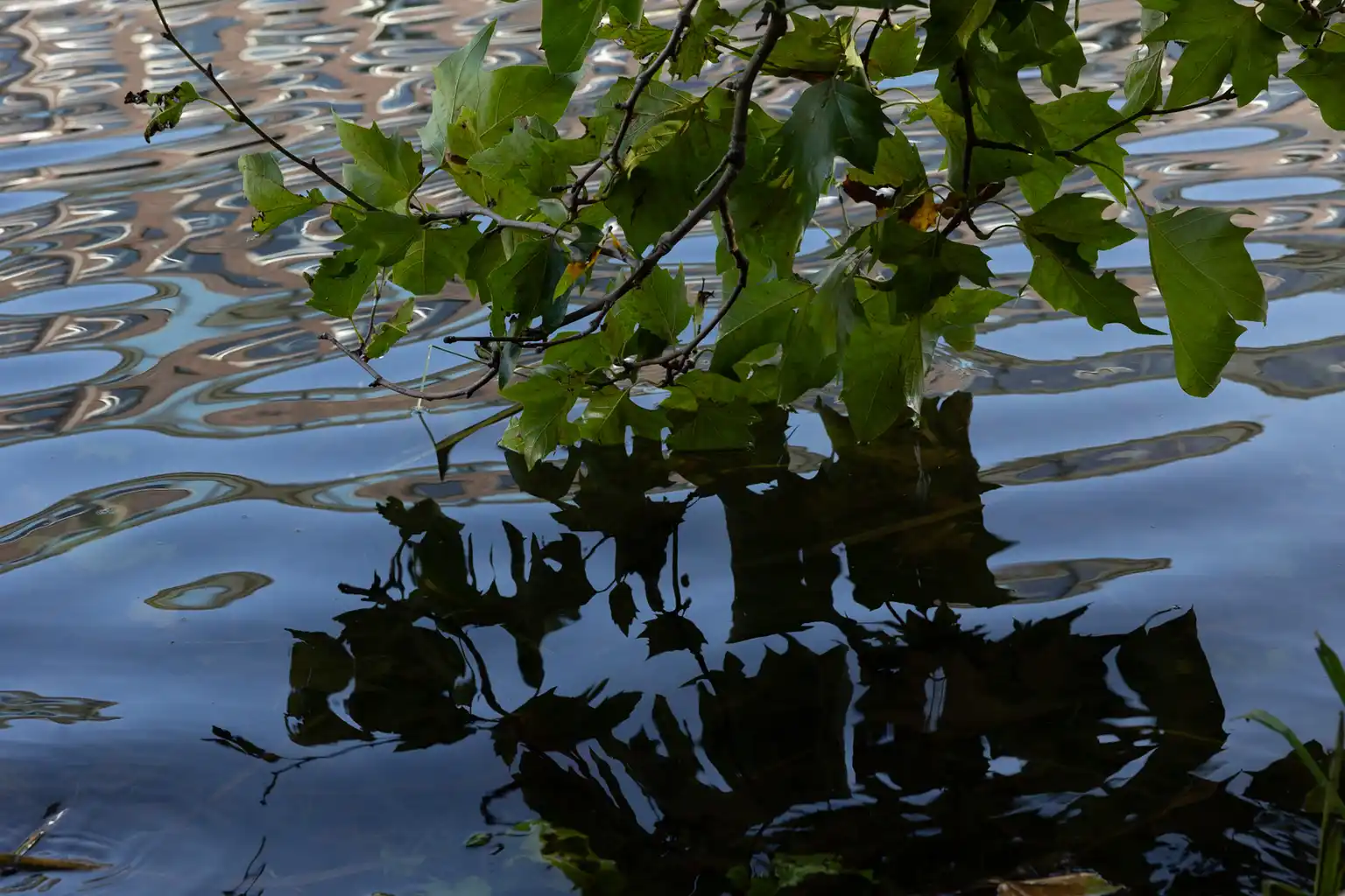 3 Helke Napierala Nahe Am Wasser
