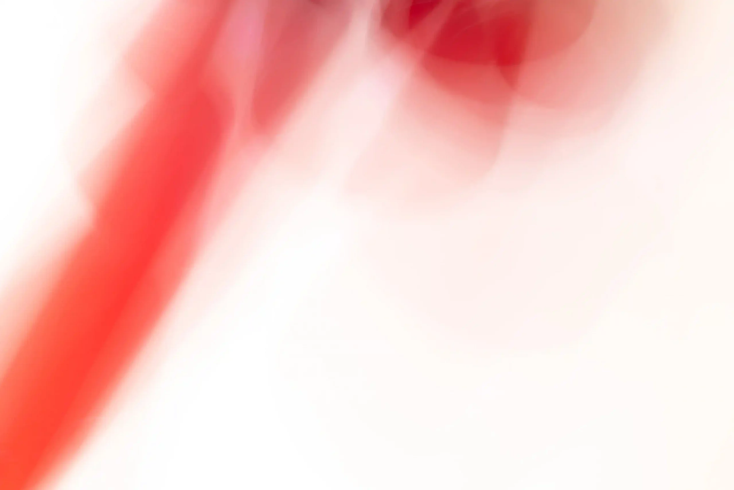 4 Dagmar Kuesters Rot