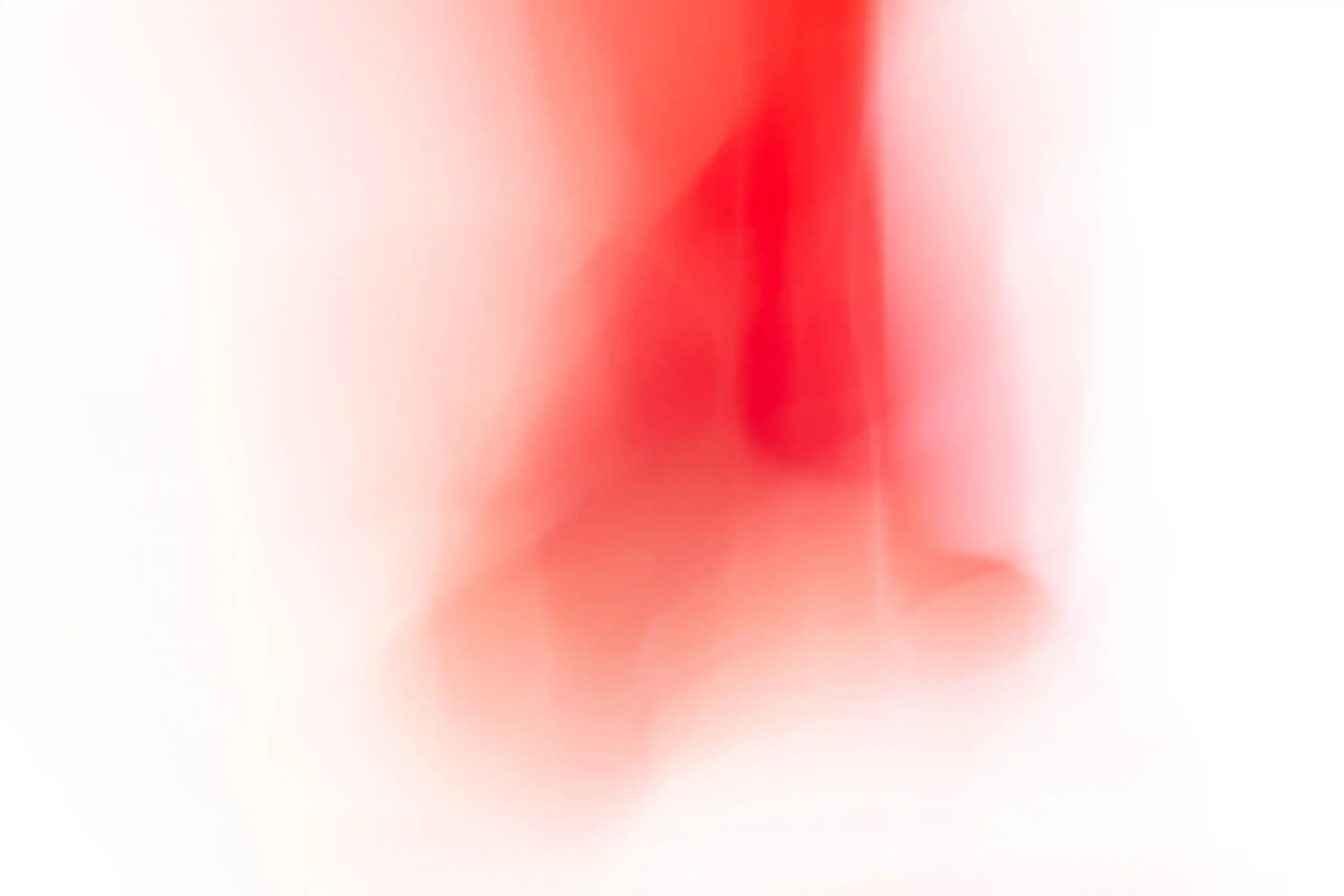 6 Dagmar Kuesters Rot