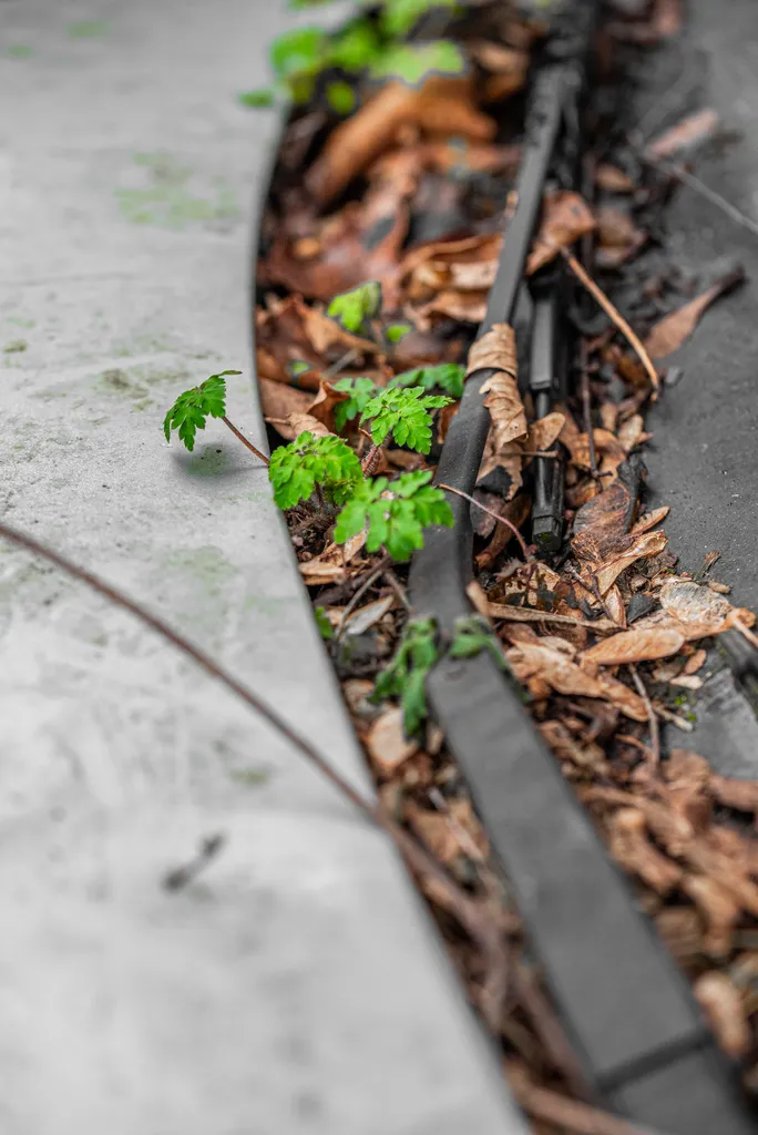 2 Thomas Schindler Zuversicht Nature Strikes Back Ergebnis