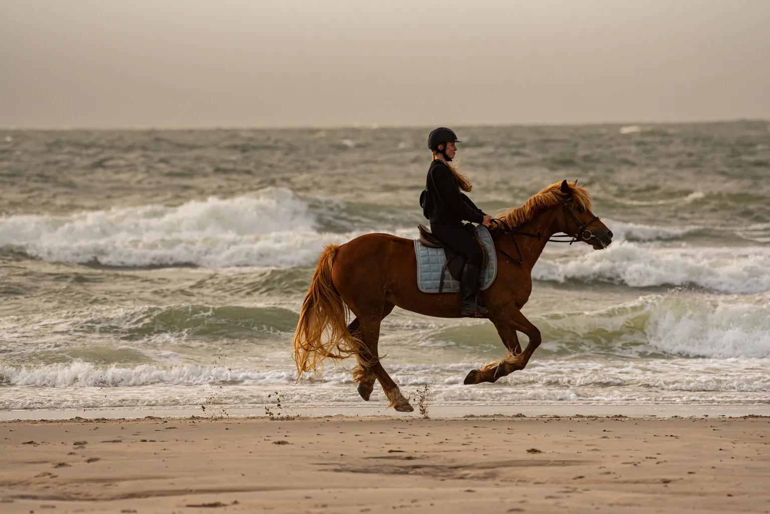 3 Thomas Schindler Durch Meer Und Sand Thomas Schindler Ergebnis