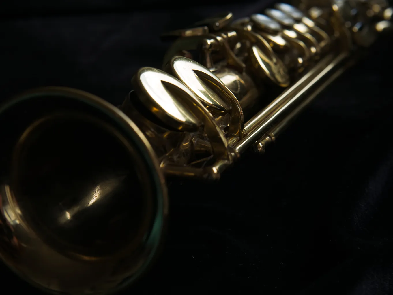 5 Saxophon Sylvia Scannell Ergebnis