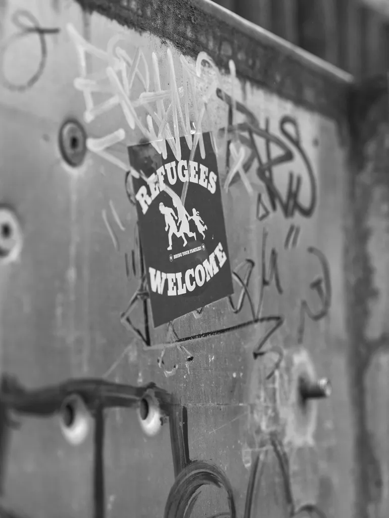 4 Refugees Welcome Sylvia Scannell Ergebnis