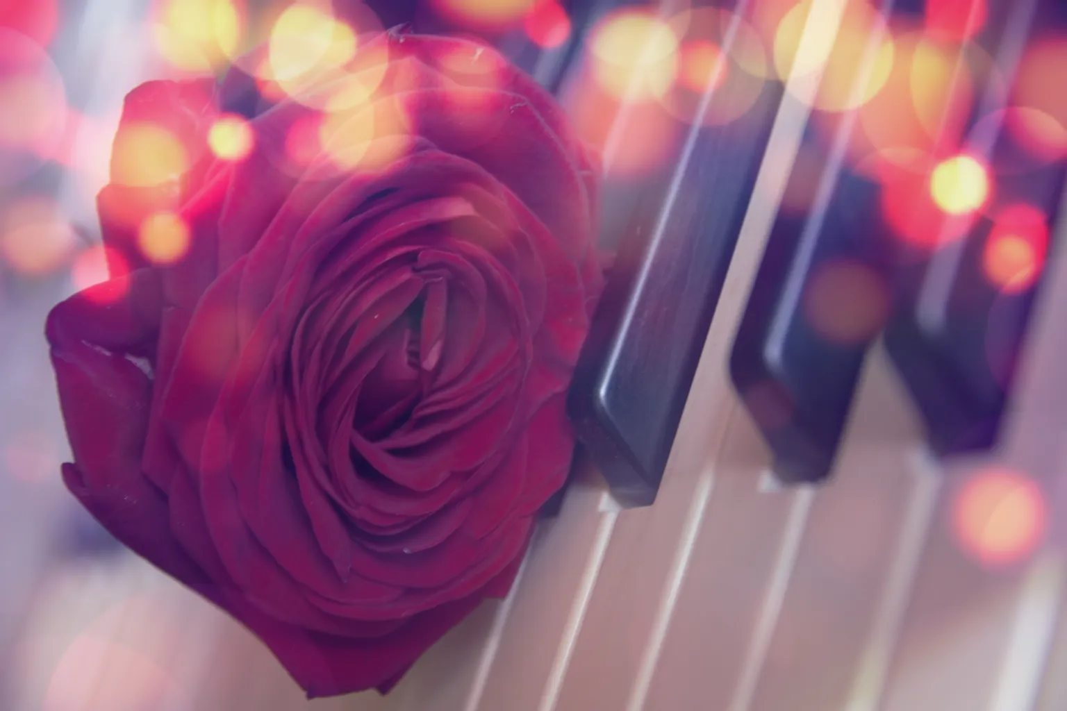1 Dietmar Pfaff Rose Keyboard.jpg Dietmar Pfaff Ergebnis
