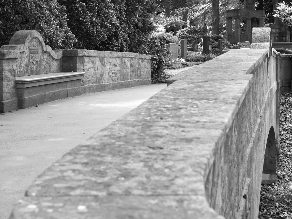 7 Sylvia Scannell Ergebnis